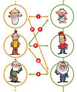 ارتباط متقابل