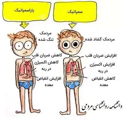 علائم جسمانی اضطراب