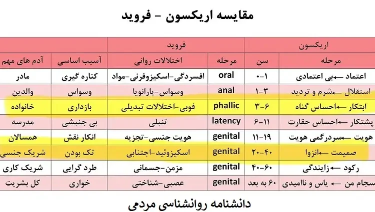 ضعف های بنیادی از دید اریکسون