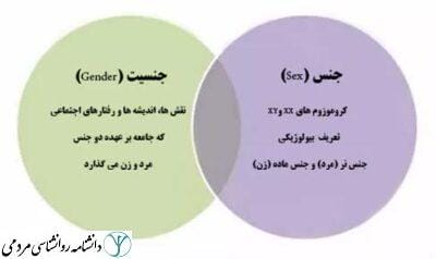 جنس و جنسیت