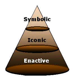 نظریه بازنمایی برونر