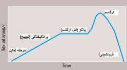 چرخه پاسخ جنسی