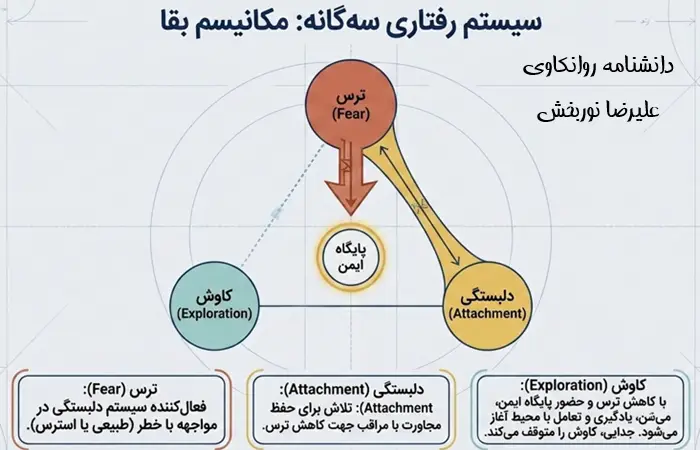سیستم رفتاری سه گانه