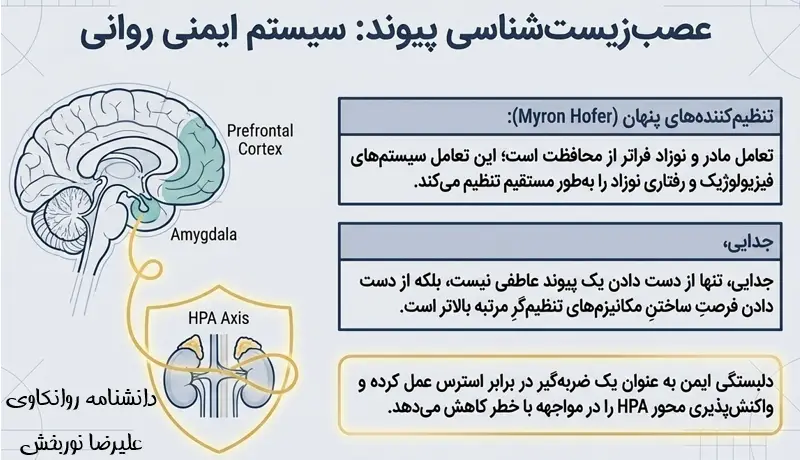 عصب زیست شناسی دلبستگی