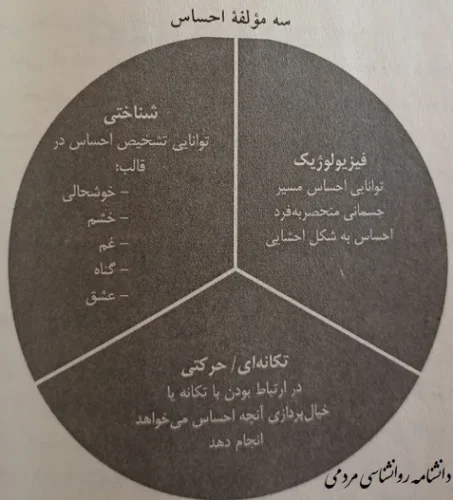 3 مولفه احساس
