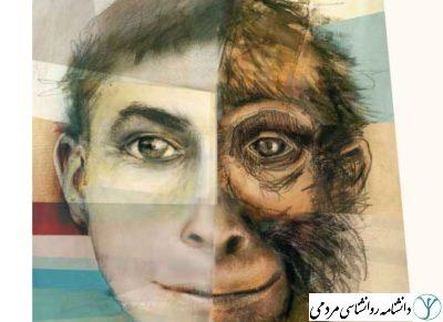 انسان گرایی فرگشتی