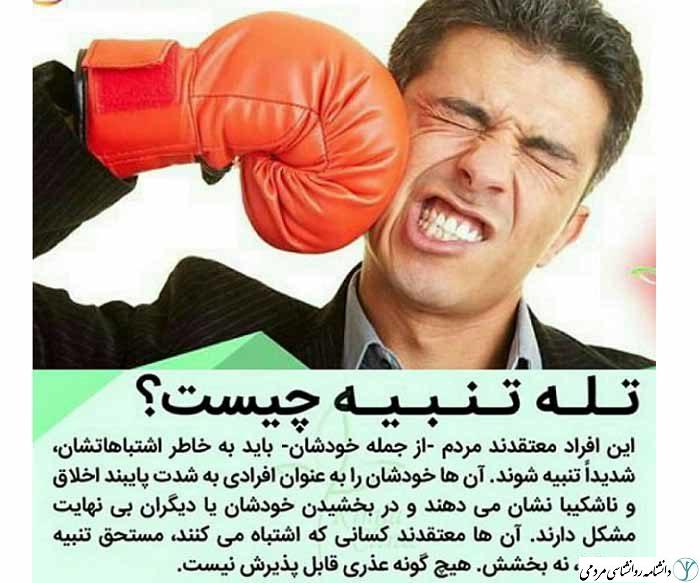 طرحواره تنبیه