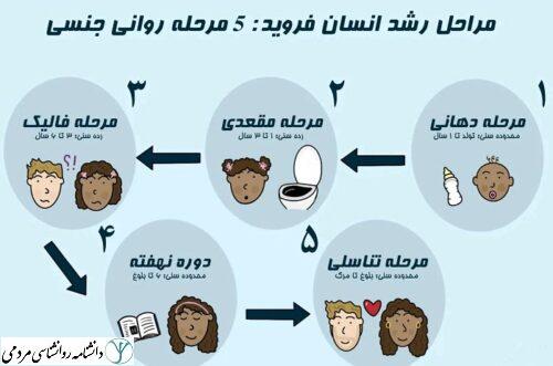 مراحل رشد روانی-جنسی فروید