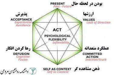 6 فرآیند اصلی در ACT