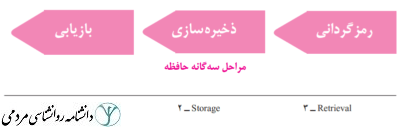 مراحل حافظه