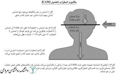 اضطراب ناهشیار