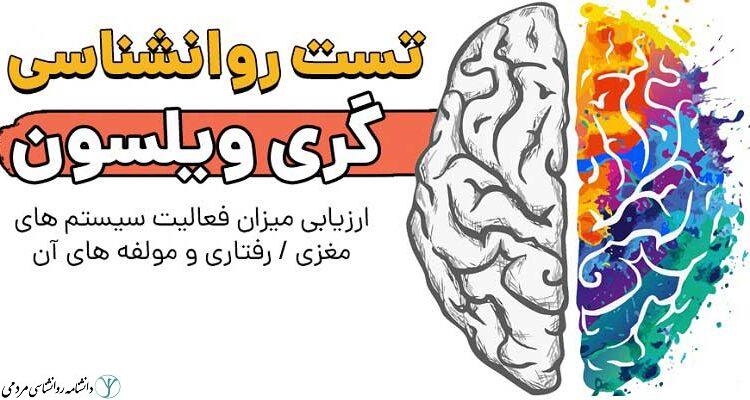 پرسشنامه گری - ویلسون