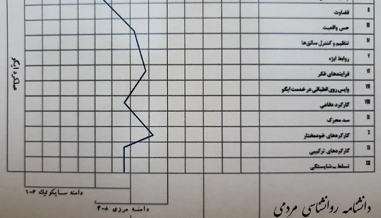 سنجش کارکردهای ایگو