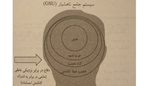 سیستم جامع ناهشیار