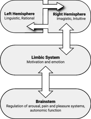 از ذهن ناهشیار به ذهن هشیار